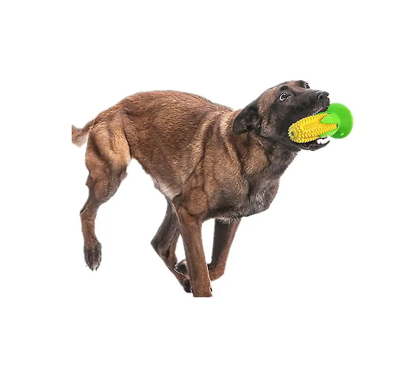 Dog molar Chew Toys With Suction Cup For Teeth Cleaning Durable Puppy Cleaning Toys AZ19338